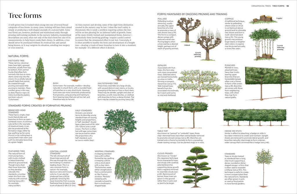 Pruning and Training