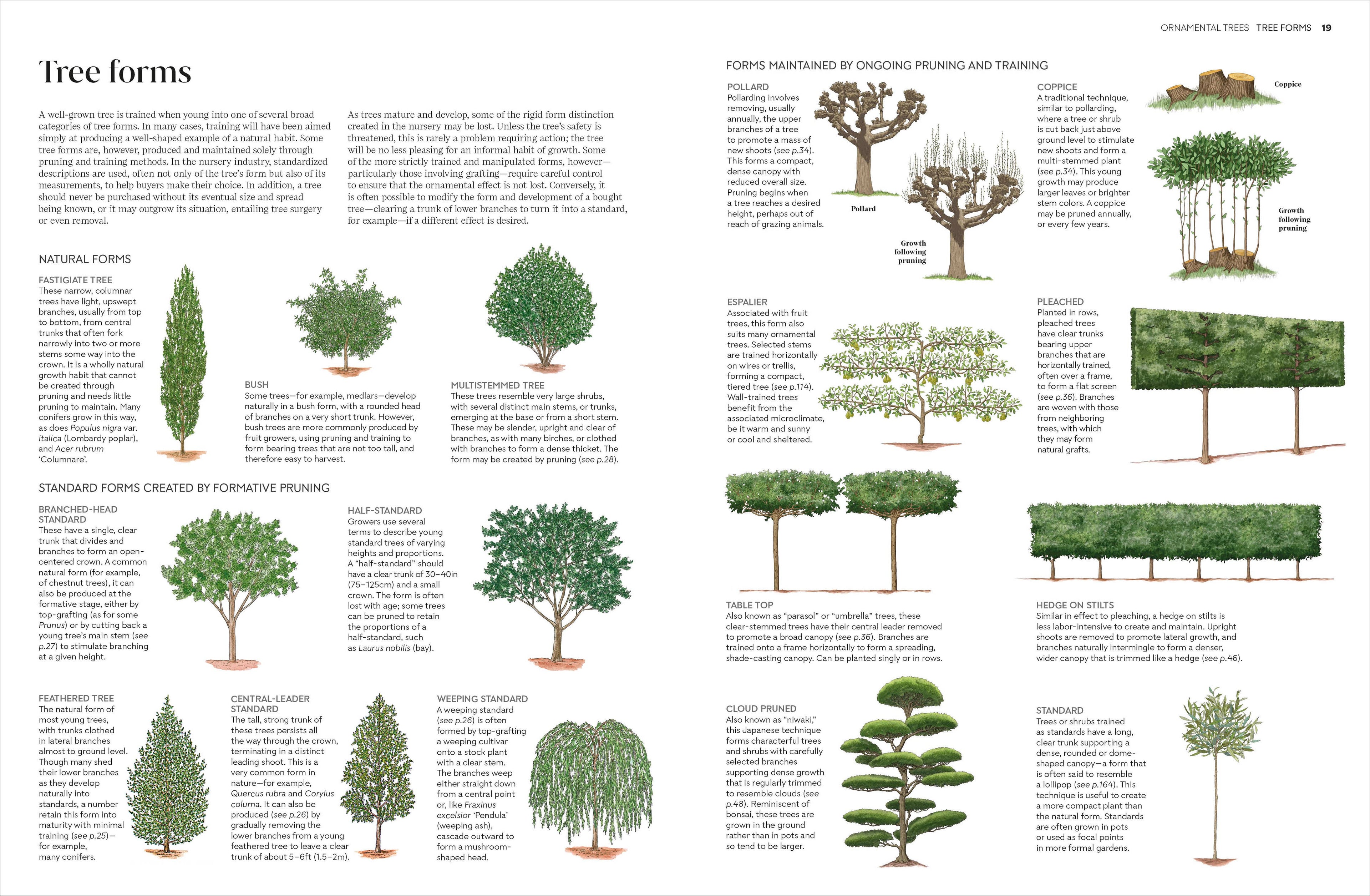 Pruning and Training