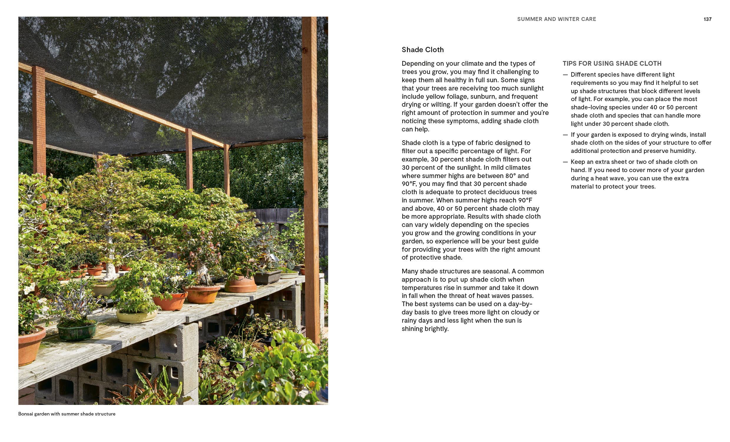 The Essential Bonsai Book