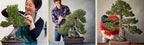 The Essential Bonsai Book