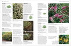 Pruning and Training