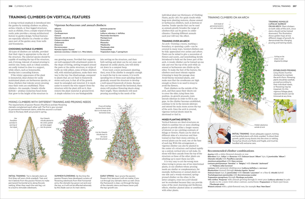 Pruning and Training