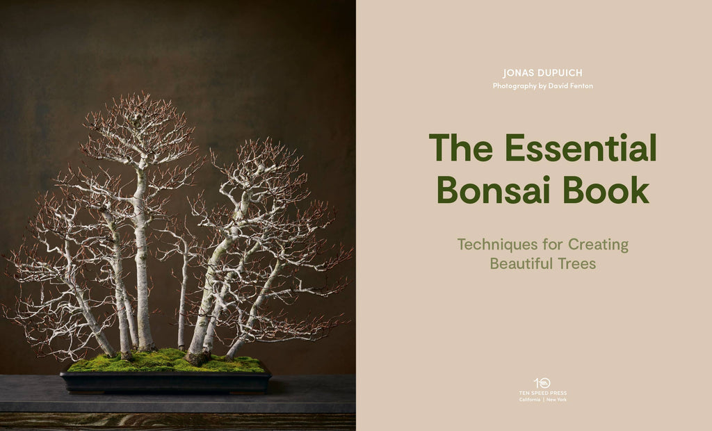The Essential Bonsai Book