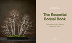 The Essential Bonsai Book