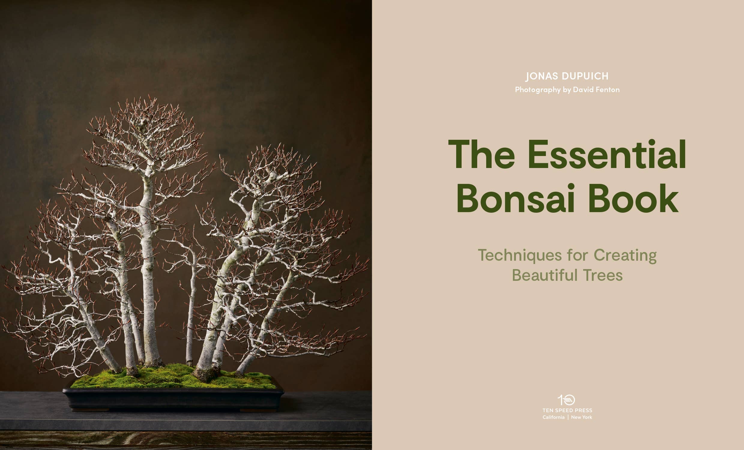 The Essential Bonsai Book