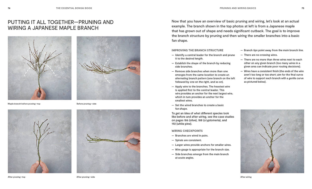 The Essential Bonsai Book