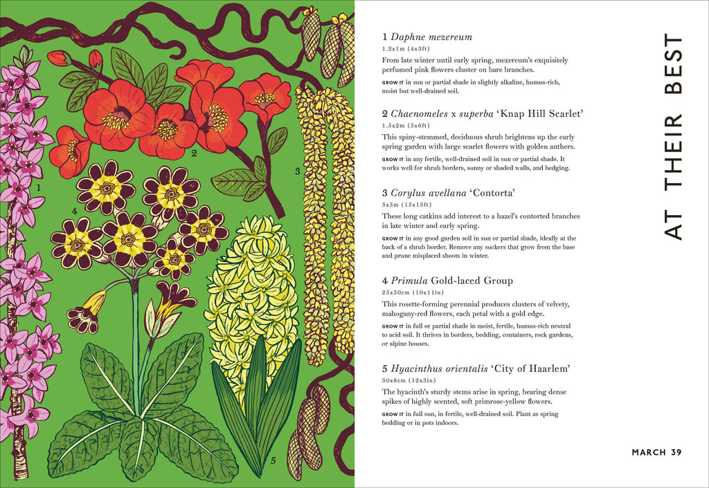 Your Gardening Year