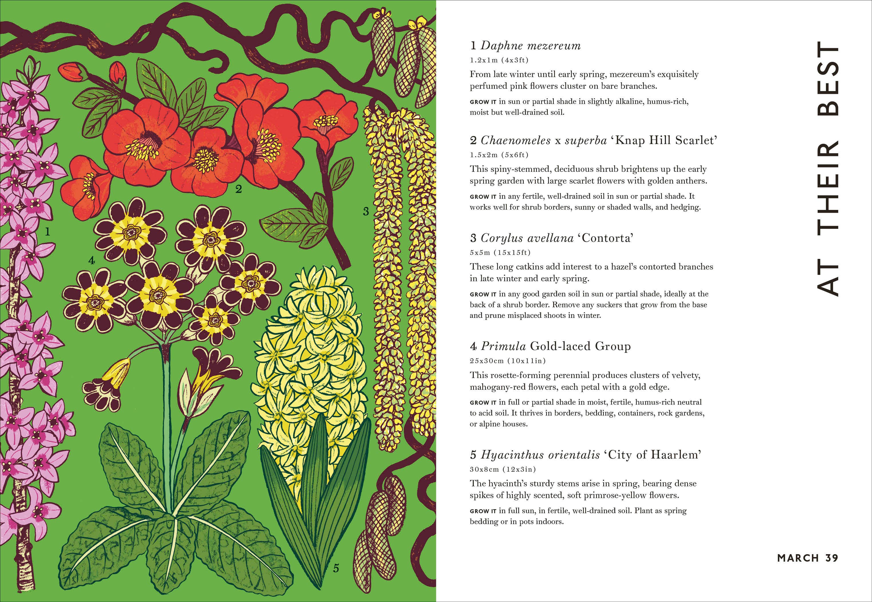 Your Gardening Year