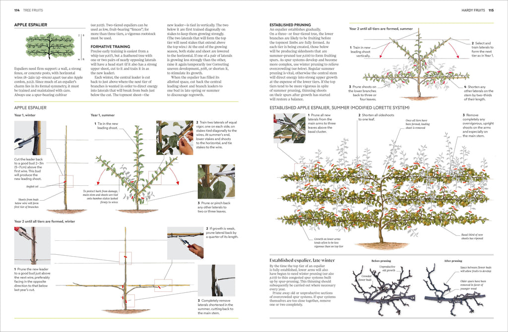 Pruning and Training