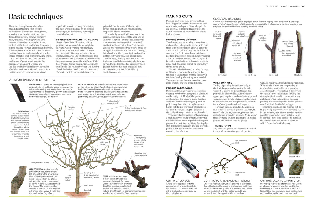 Pruning and Training