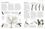 Pruning and Training