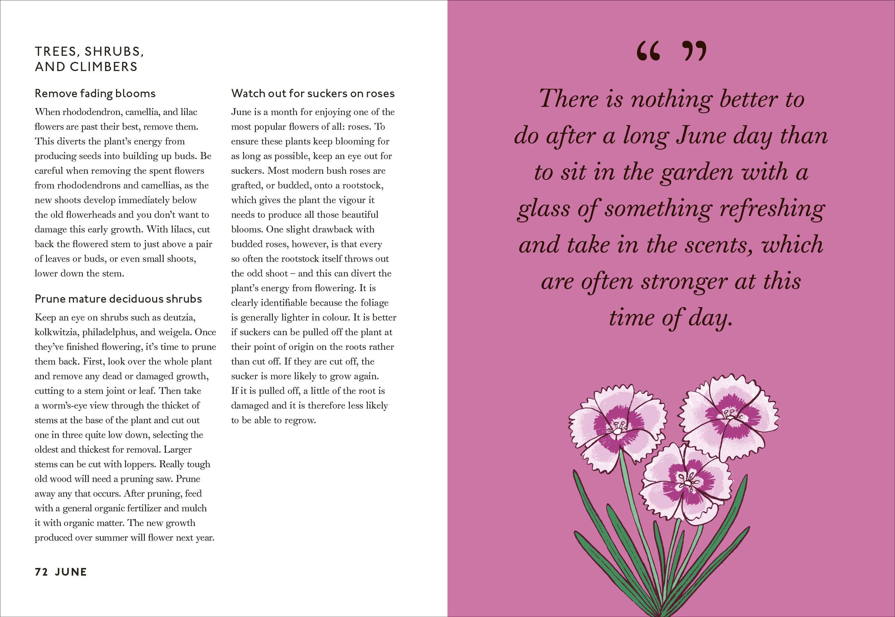 Your Gardening Year