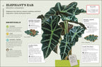 How Not Kill Houseplant 2E