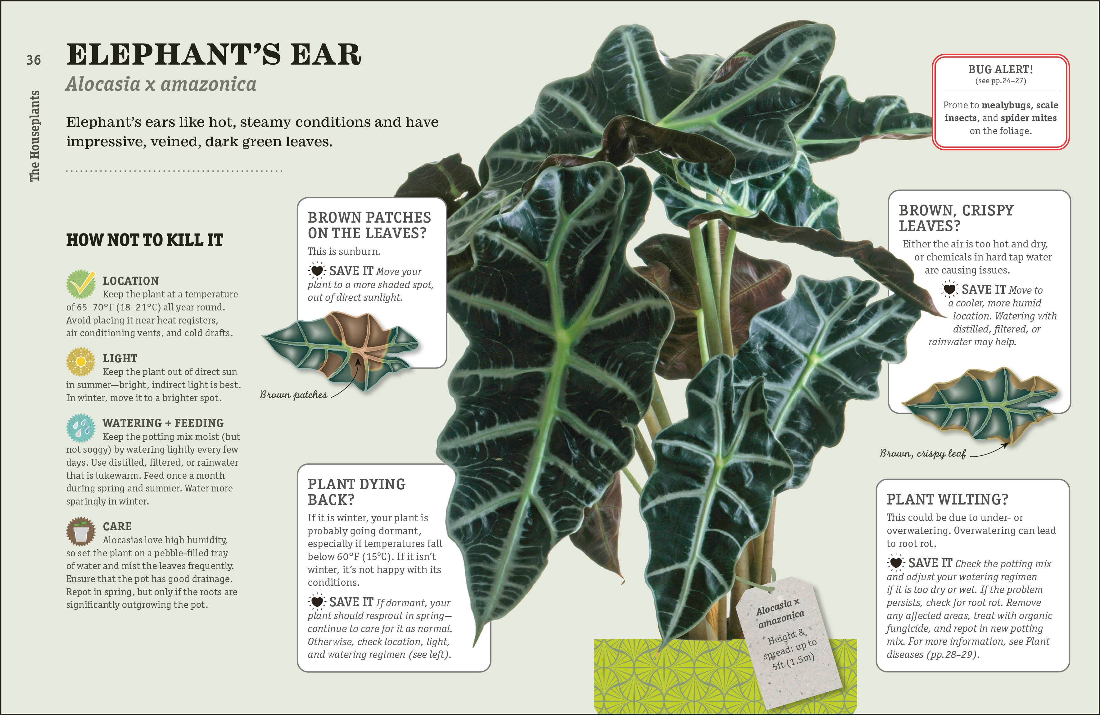How Not Kill Houseplant 2E