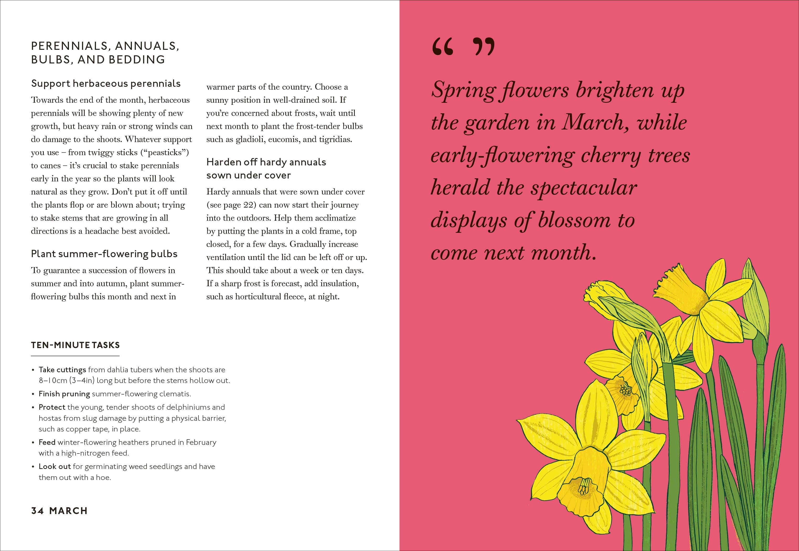 Your Gardening Year