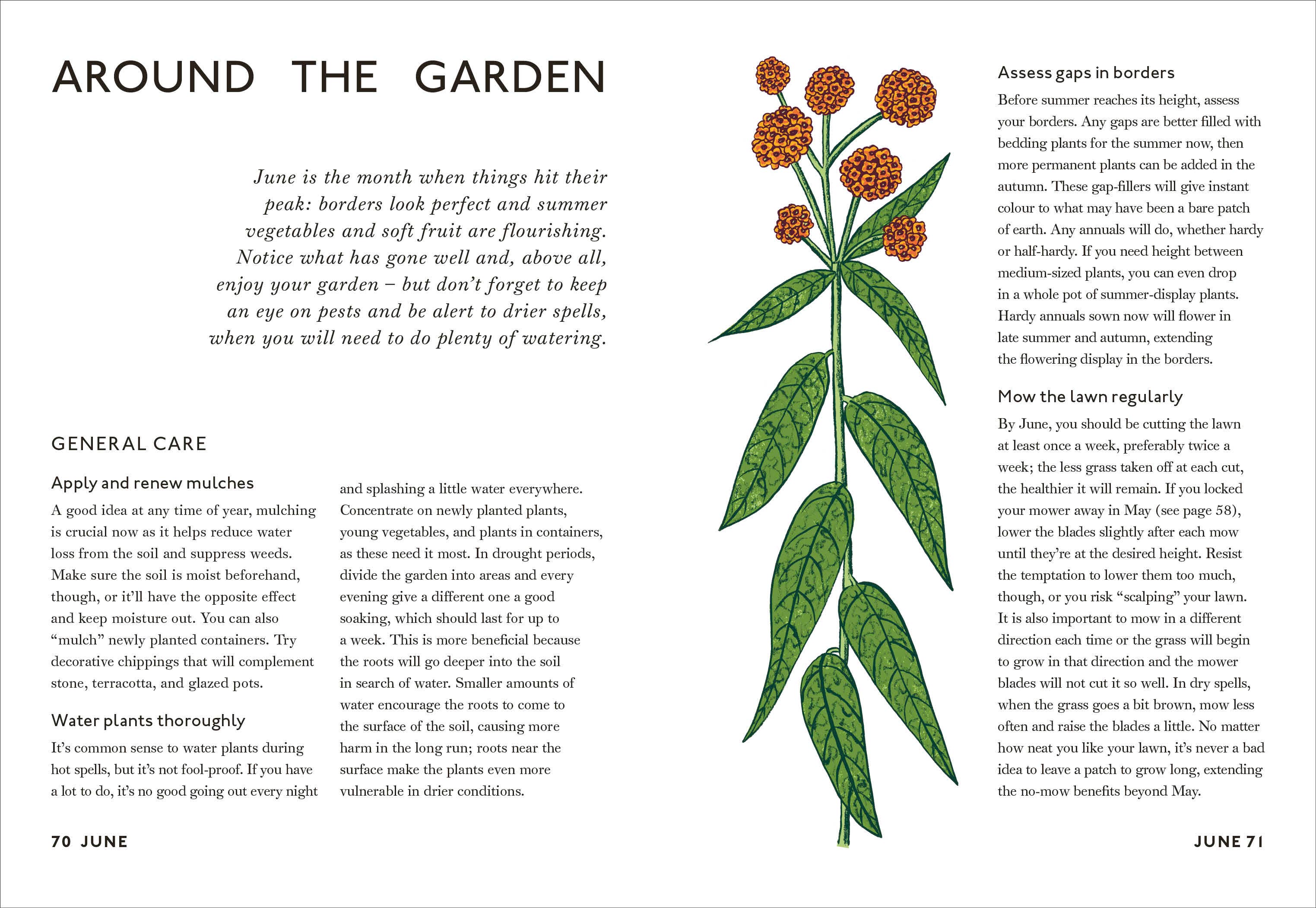 Your Gardening Year