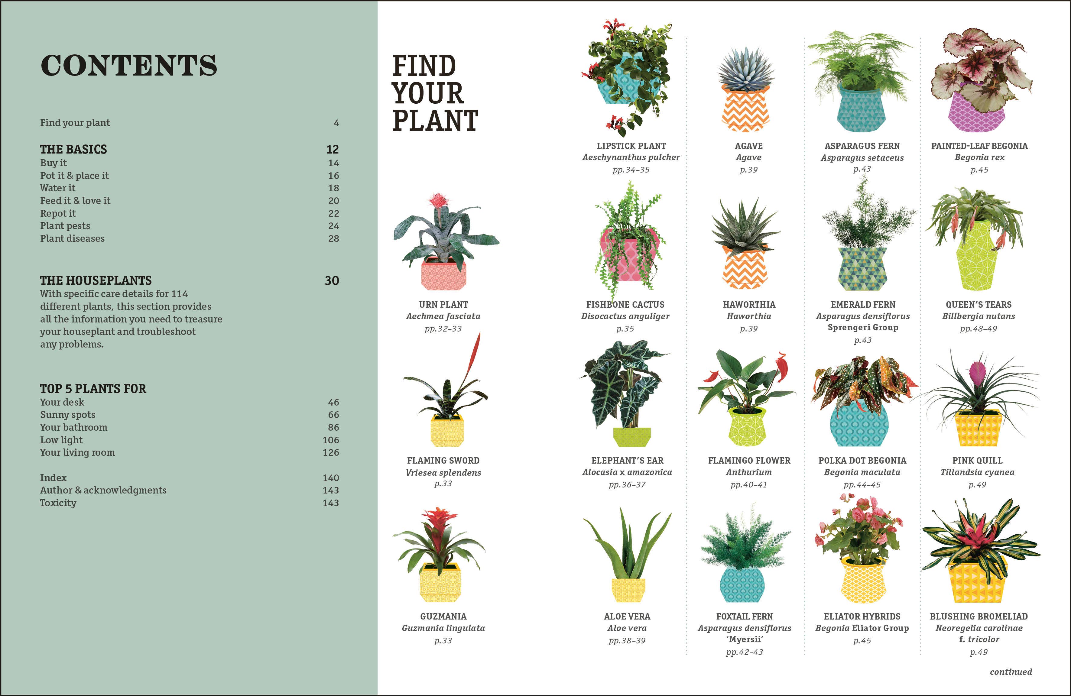 How Not Kill Houseplant 2E