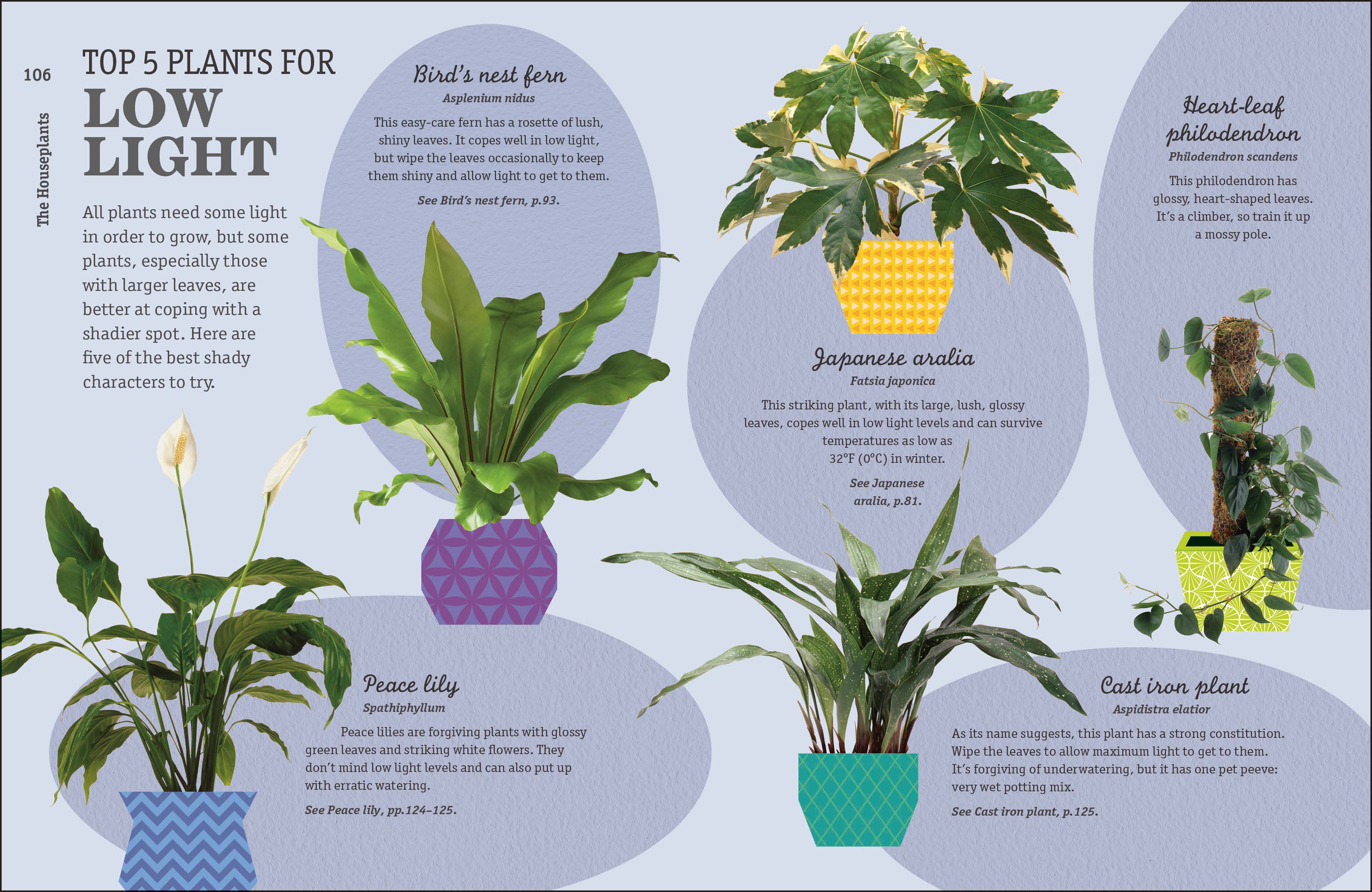 How Not Kill Houseplant 2E