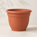 Bloem Ariana Planter with Grid - Terra Cotta - 6"