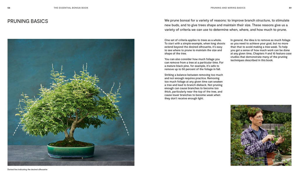 The Essential Bonsai Book