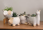 Cute Critter Animal Planter - 5"
