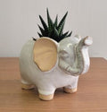 5 inch Cute Critter elephant planter for small plants