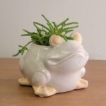 5 inch Cute Critter frog planter for small plants