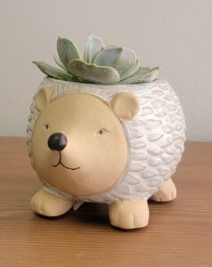 cute-critter-animal-planter-hedgehog-5in