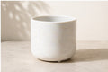 4.5 inch Element Pot in Pearl White for a 4 inch grower pot drop