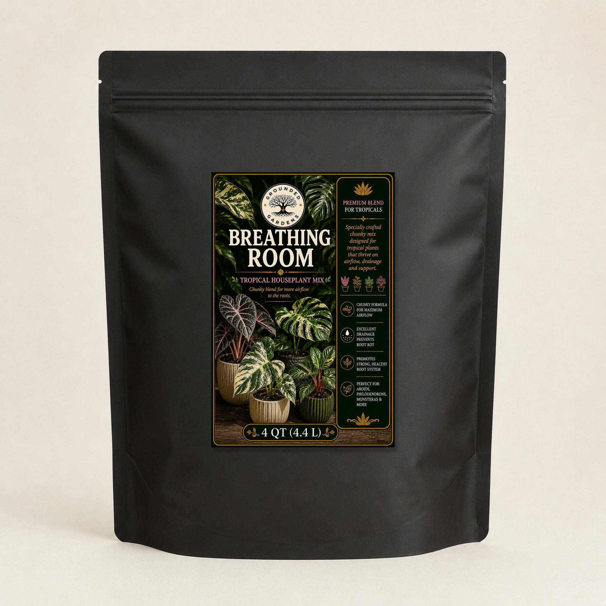 Breathing Room Tropical Houseplant Mix
