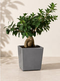 16 inch Juka square planter in Grey