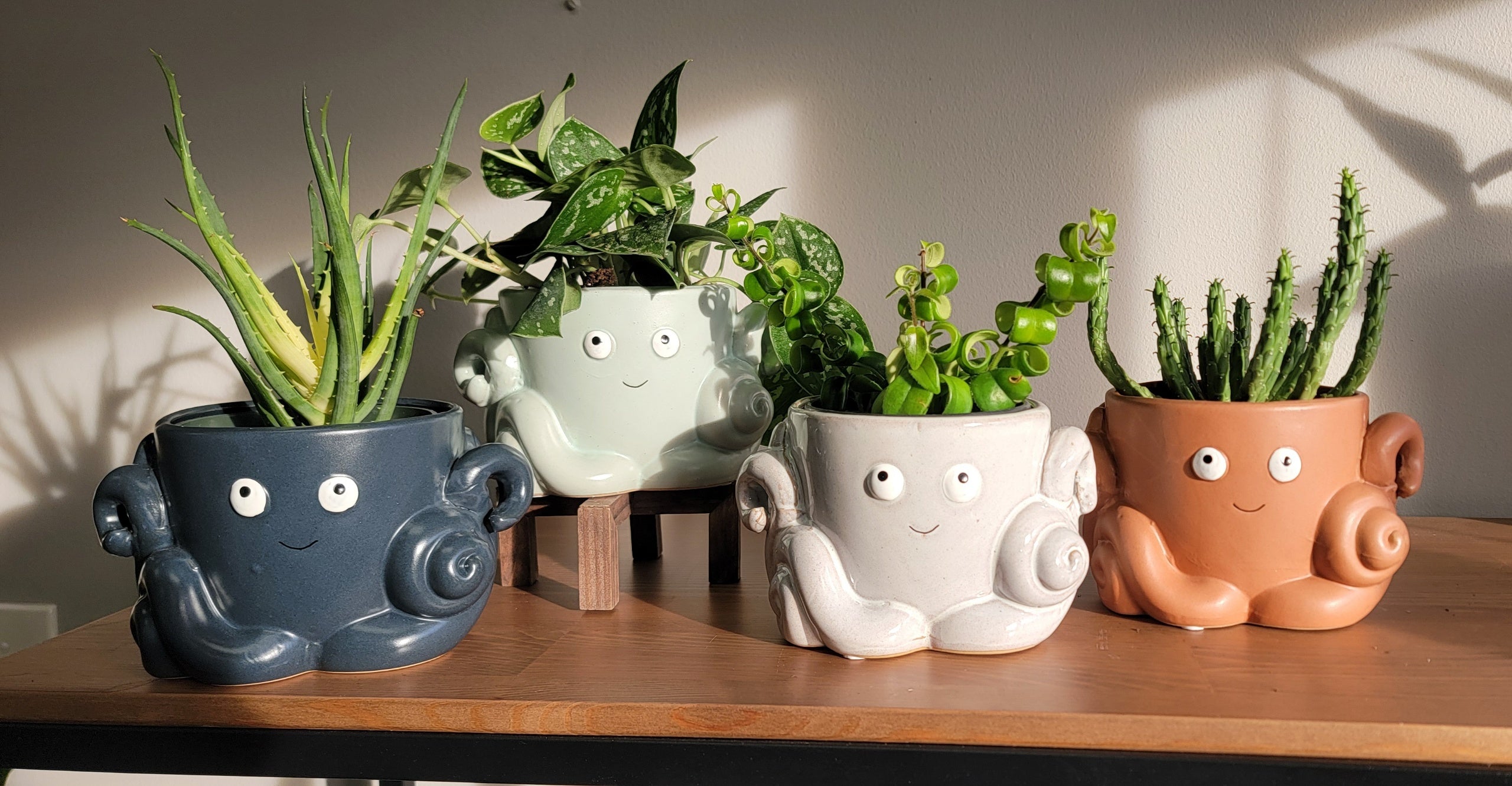 5 inch octopus pot planter for a 4 inch plant drop