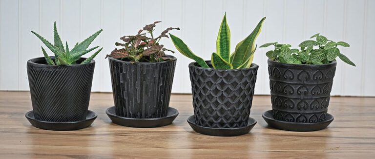 5.5 inch black textured pot with saucer for a 4 inch plant drop