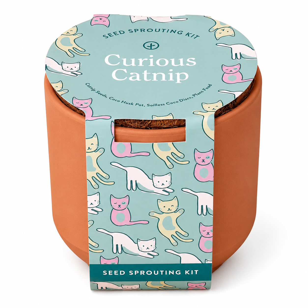 Tiny Terracotta Pet Grow Kit Curious Catnip by Modern Sprout