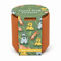 Tiny Terracotta Pet Grow Kit Good Dog Greens by Modern Sprout