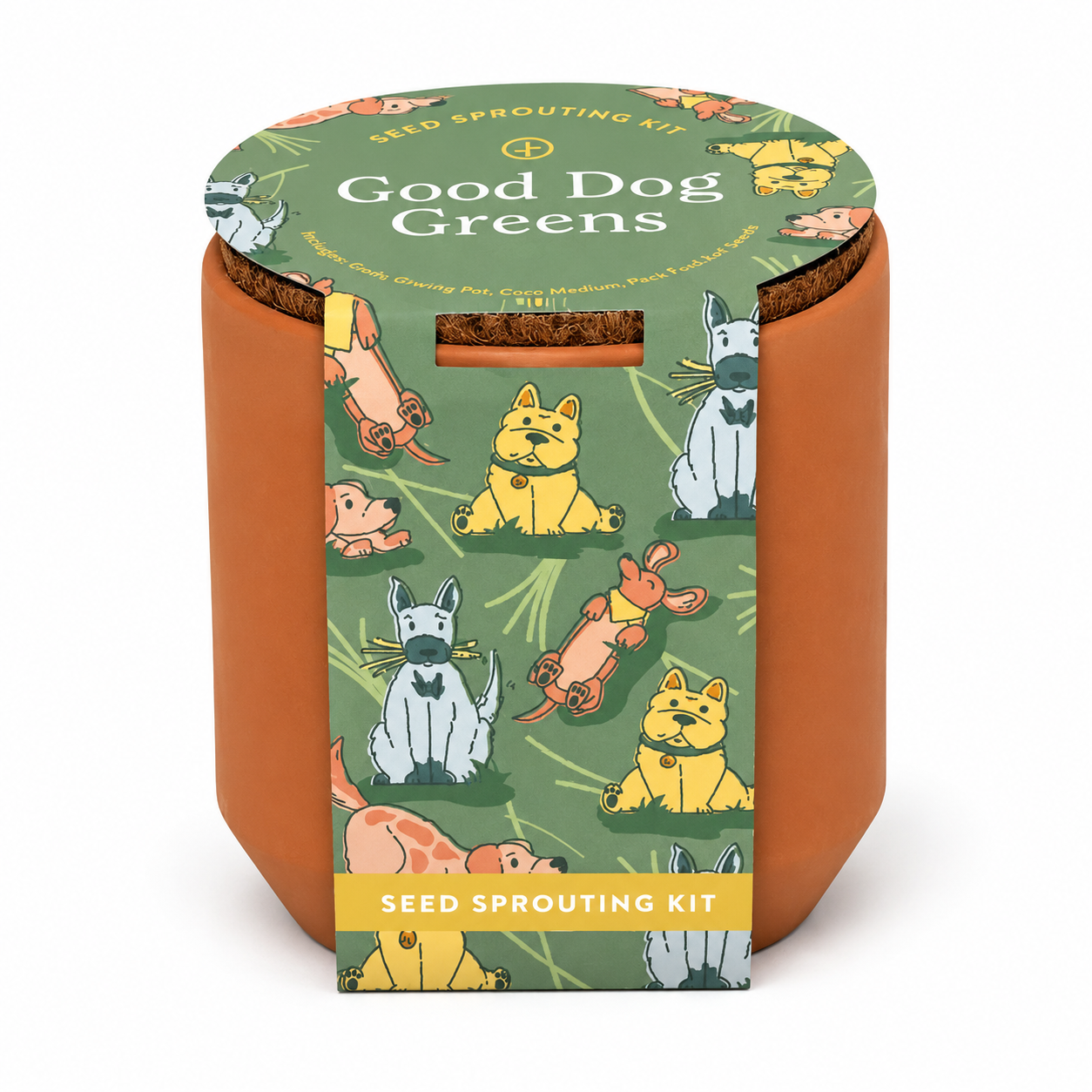 Tiny Terracotta Pet Grow Kit Good Dog Greens by Modern Sprout