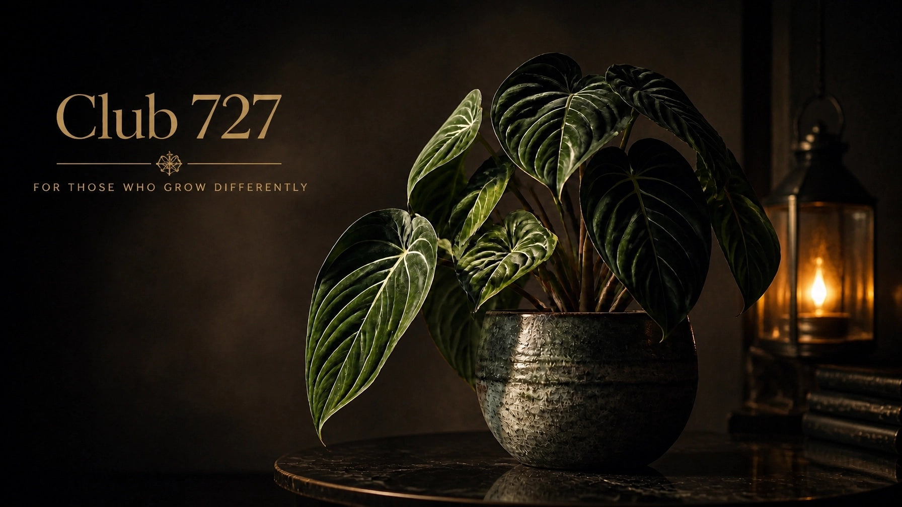 Club 727 — for those who grow differently